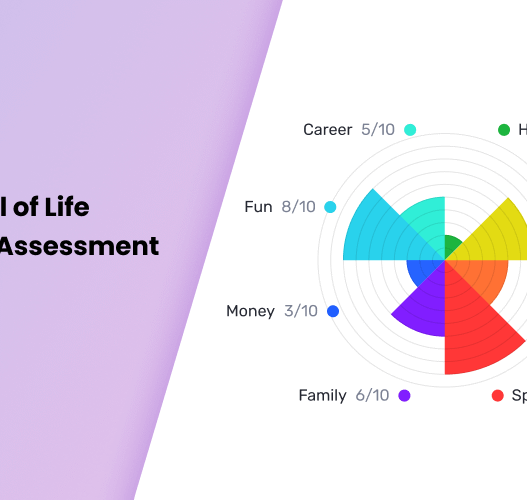 Best Wheel of Life Coaching Assessment Tool