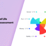 Best Wheel of Life Coaching Assessment Tool