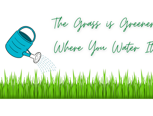 The Grass is Greener Where You Water It