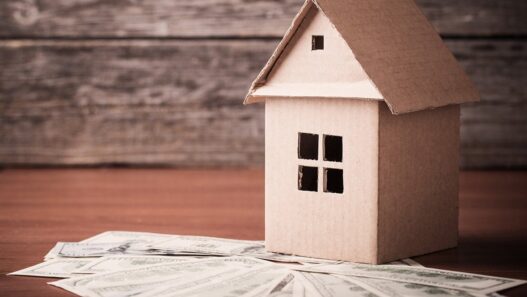 Pros, Cons, and How Much It Can Cost You