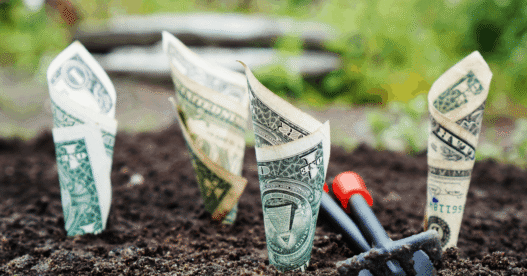 Which One Will Maximize Your Money?