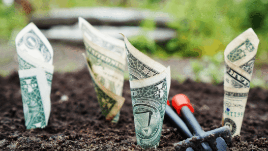 Which One Will Maximize Your Money?