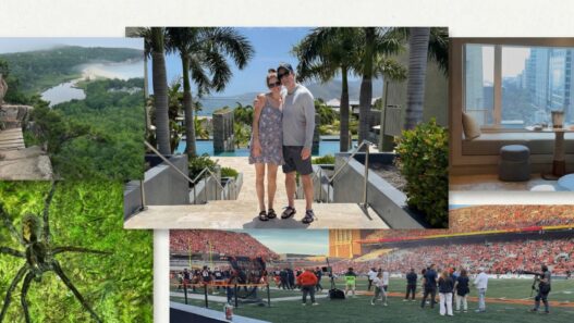 2025 Award Recap ($51,000 in Value, 7 Trips)